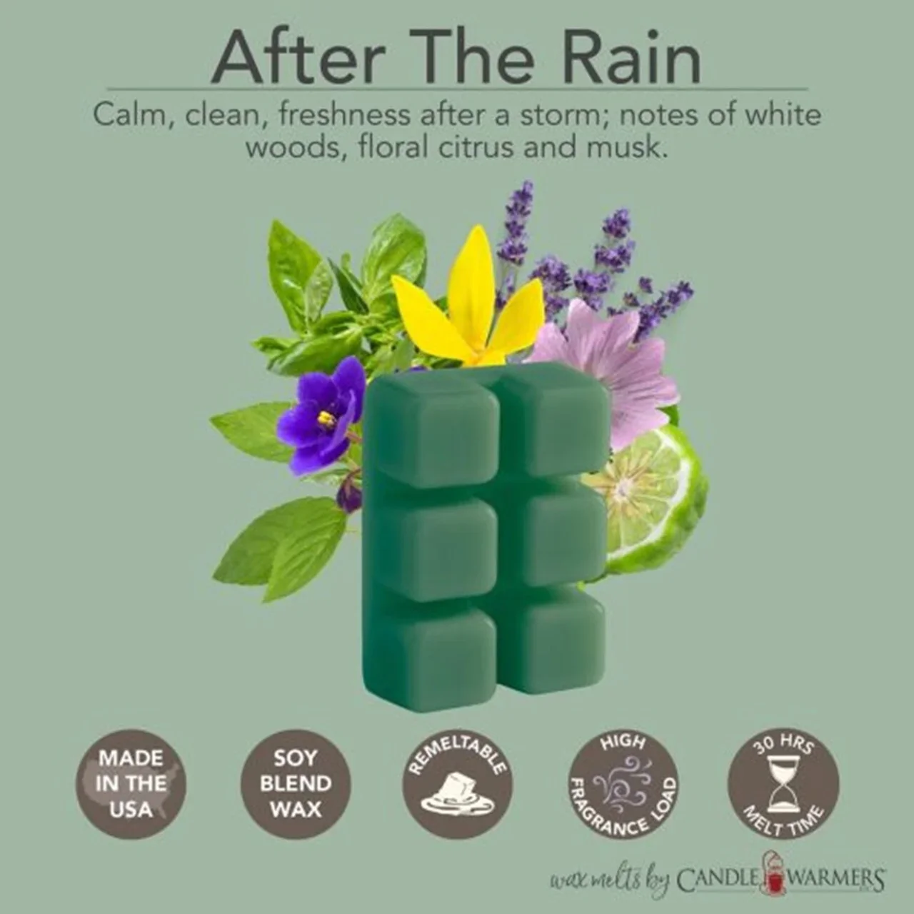 After The Rain Wax Melts - Image 2