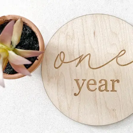 Baby Milestone Wooden Discs - Image 2