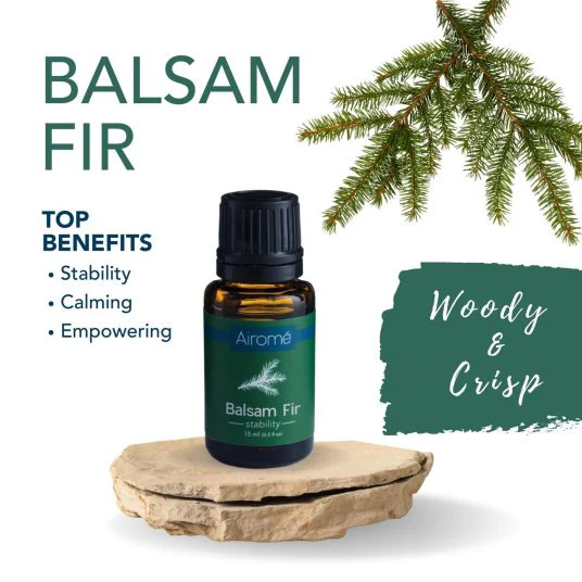 Balsam Fir Essential Oil - Image 2