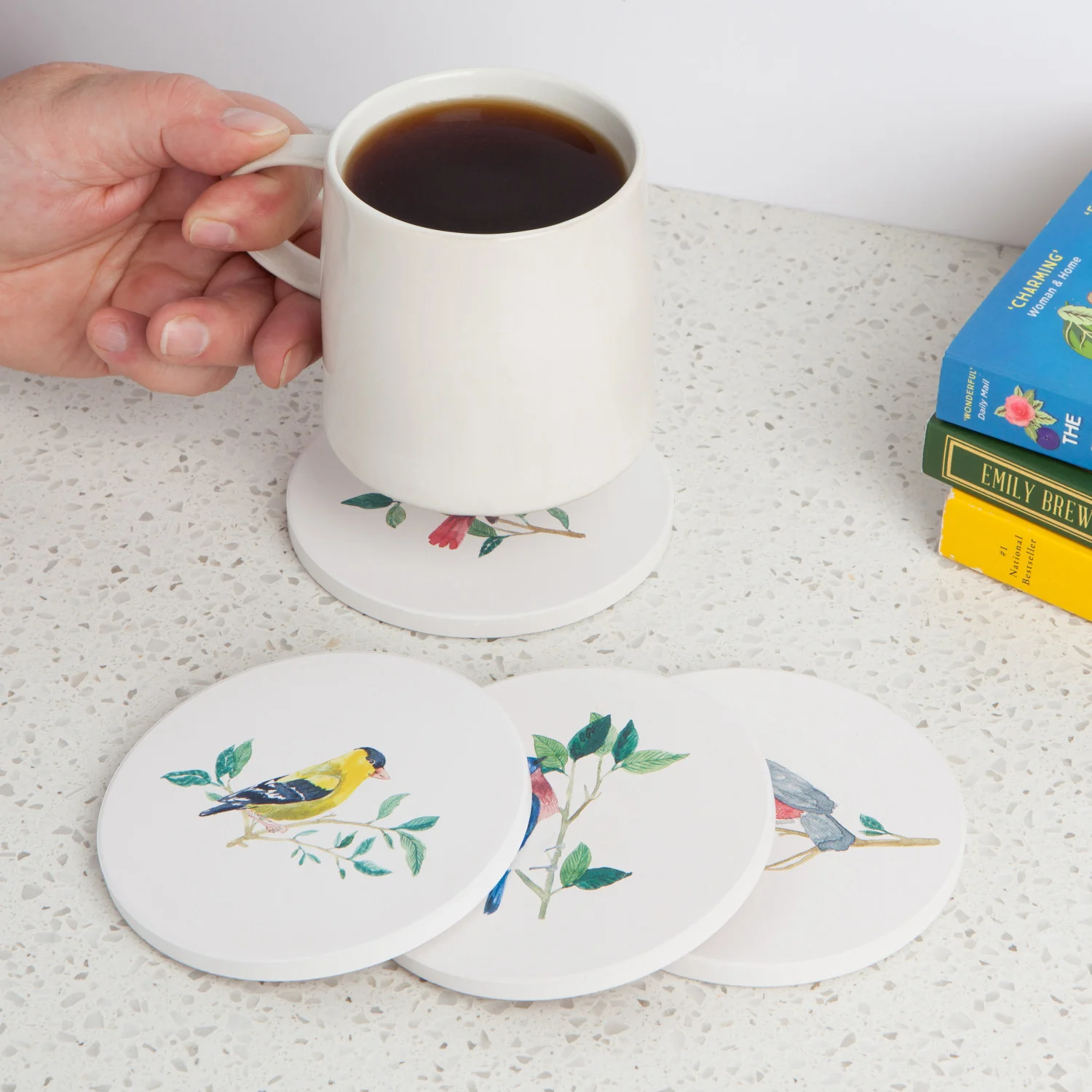 Birdsong Coaster - Assorted - Image 3