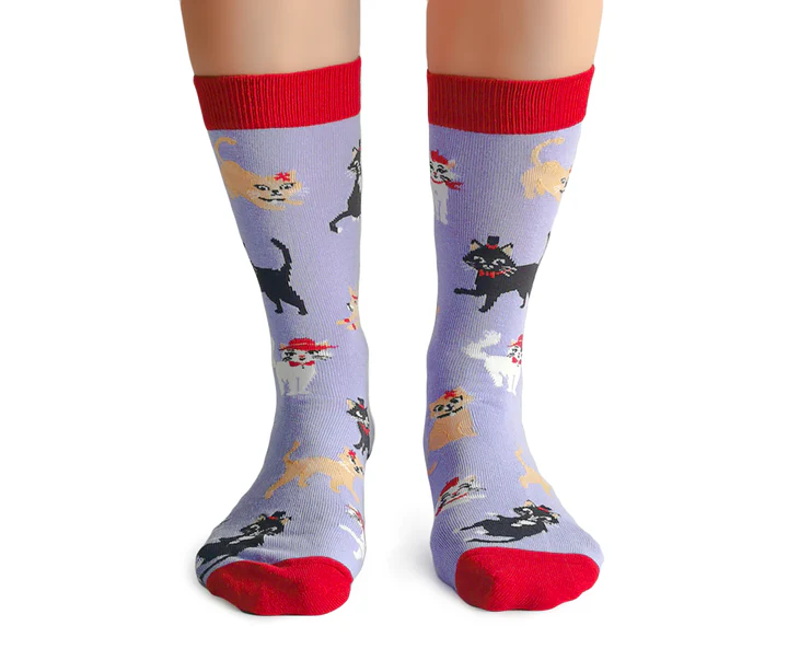 Cats In Hats Socks - For Her - Image 2