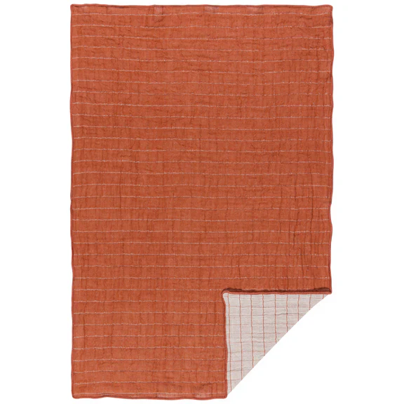 Cinnamon Stick Double Weave Dishtowels - Set of 2 - Image 4