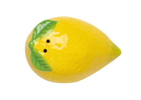 Citrus Burst Salt and Pepper Shakers - Image 3