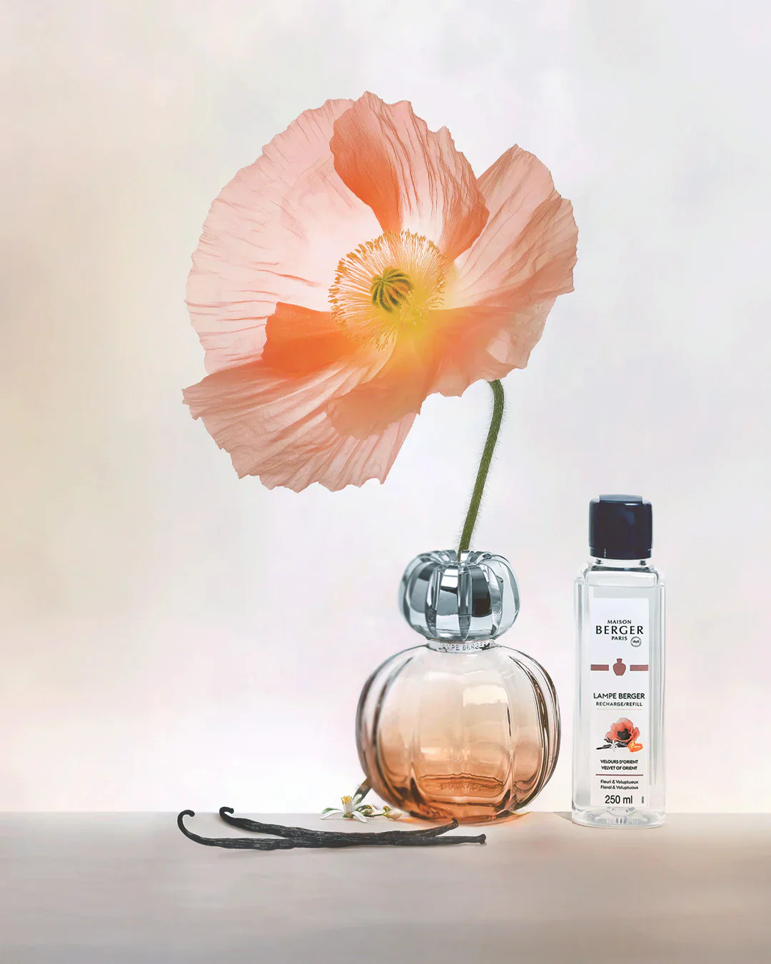 Corali Coral Fragrance Lamp Gift Set - Image 3