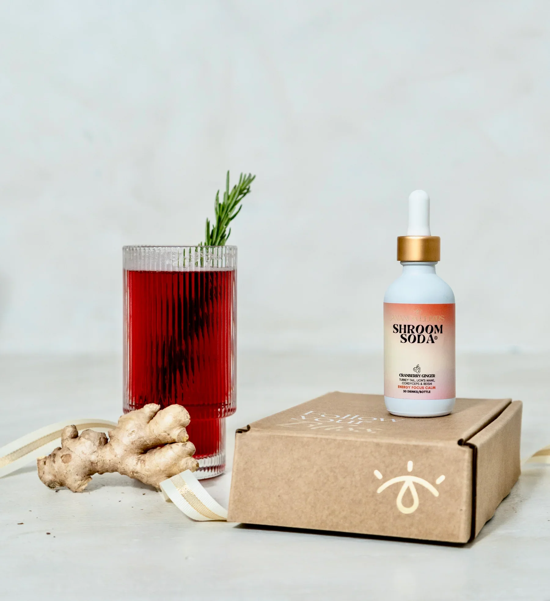 Cranberry Ginger Shroom Soda - Image 2