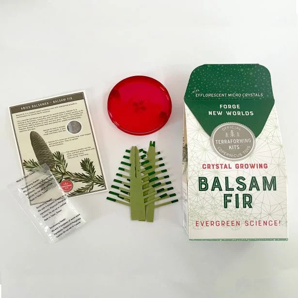 Crystal Growing Balsam Fir - Image 2