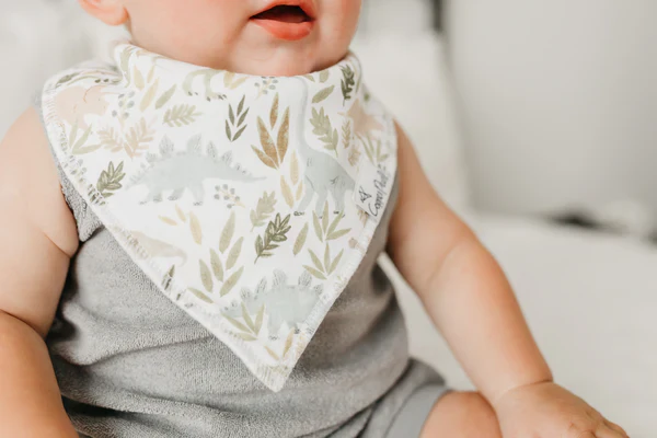 Rex Bandana Bib Set - Image 2