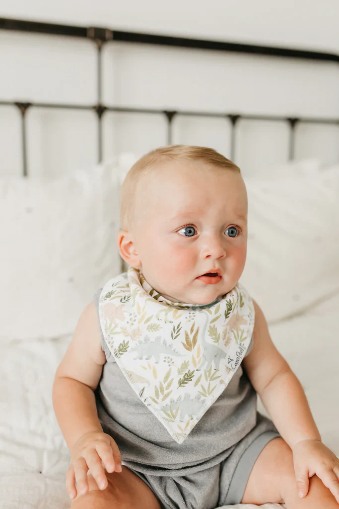Rex Bandana Bib Set - Image 4