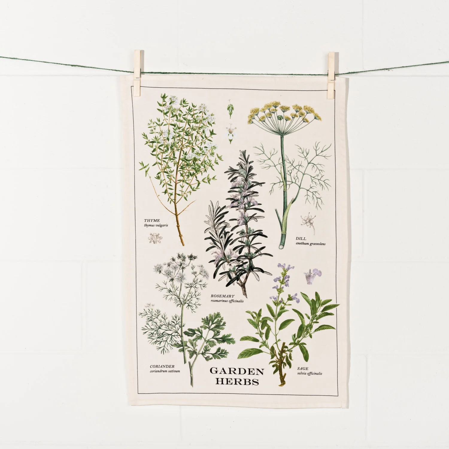 Garden Herbs Cotton Dishtowel - Image 2