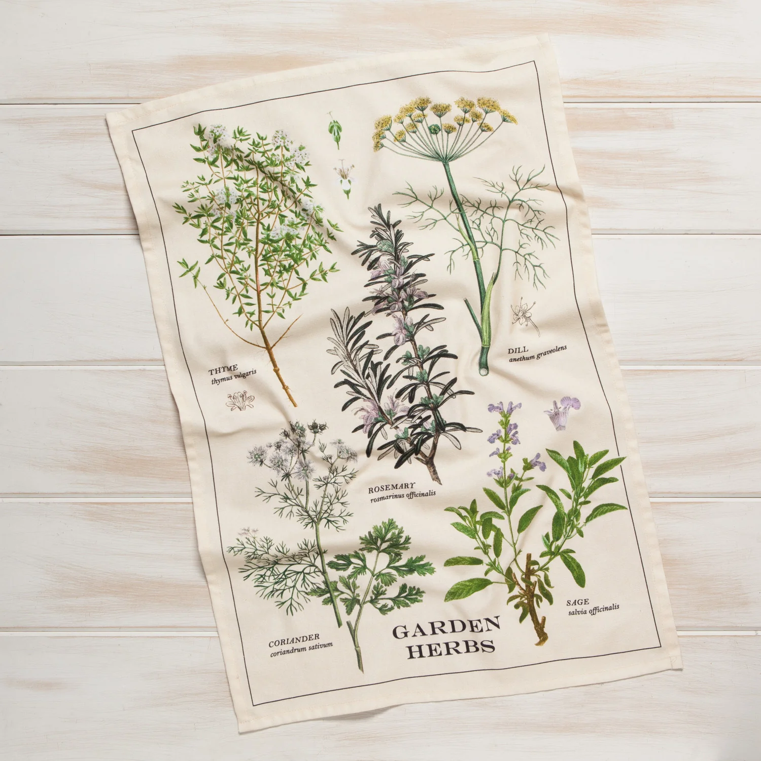 Garden Herbs Cotton Dishtowel - Image 3