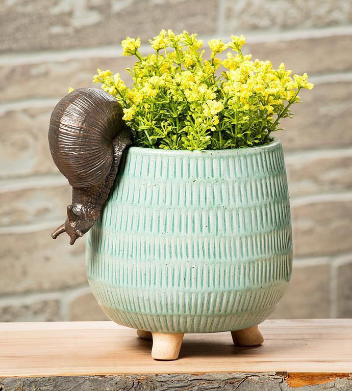 Hanging Snail - Image 3