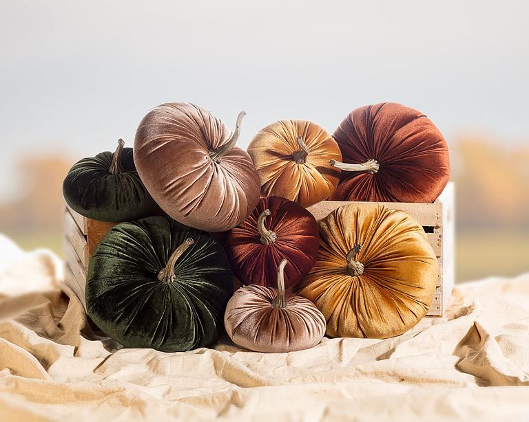 Large Velvet Pumpkin - Assorted - Image 2
