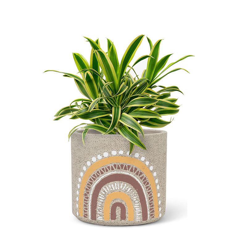 Medium Boho Rainbow Planter - Image 2