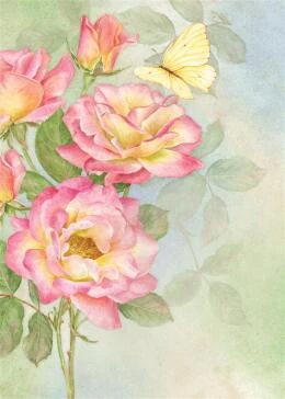 More Spring/Summer Garden Flags - Image 4