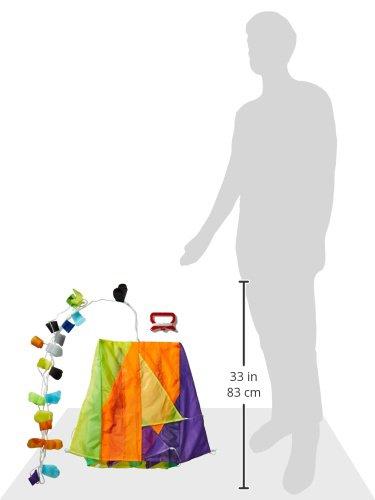 Parafoil Kite - Image 3