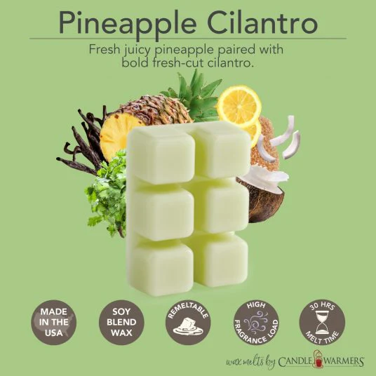 Pineapple Cilantro Wax Melts - Image 2