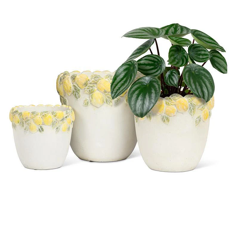 Large Lemon Edge Planter - Image 2