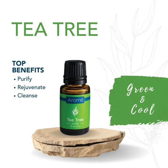 Tea Tree Essential Oil - Image 2